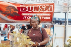 DSA-PICTURES-383